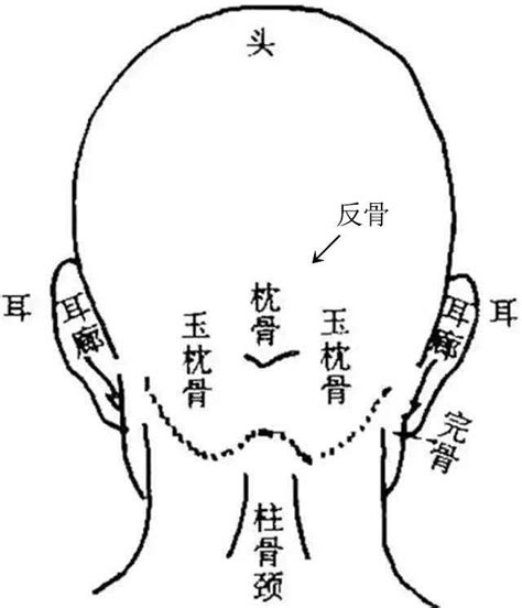 後腦沙沙聲|头部在左右晃动的时候，后脑勺就会有沙沙的声音发出，好像里面。